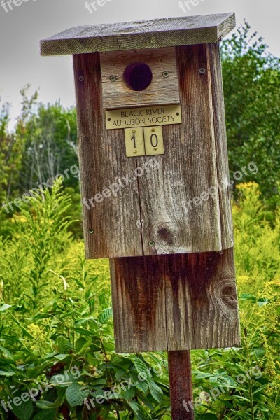 Birdhouse Audubon Society Martin Bird Wood