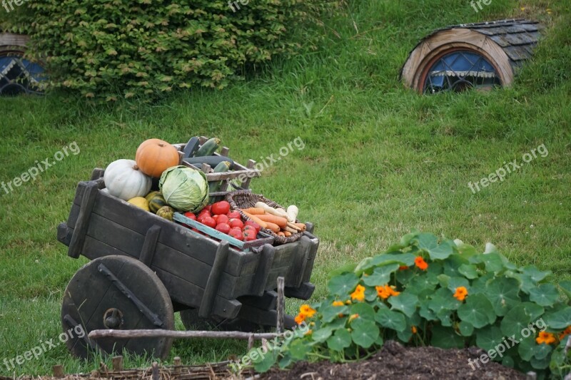 Garden New Zealand The Hobbit Hobbiton Movie Set