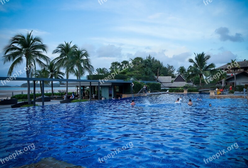 Pool Swimming Pool Swim Water Swimming