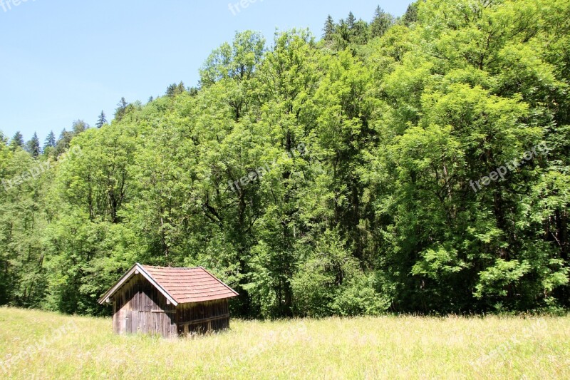 Woodhouse Log Cabin Nature Forest Meadow