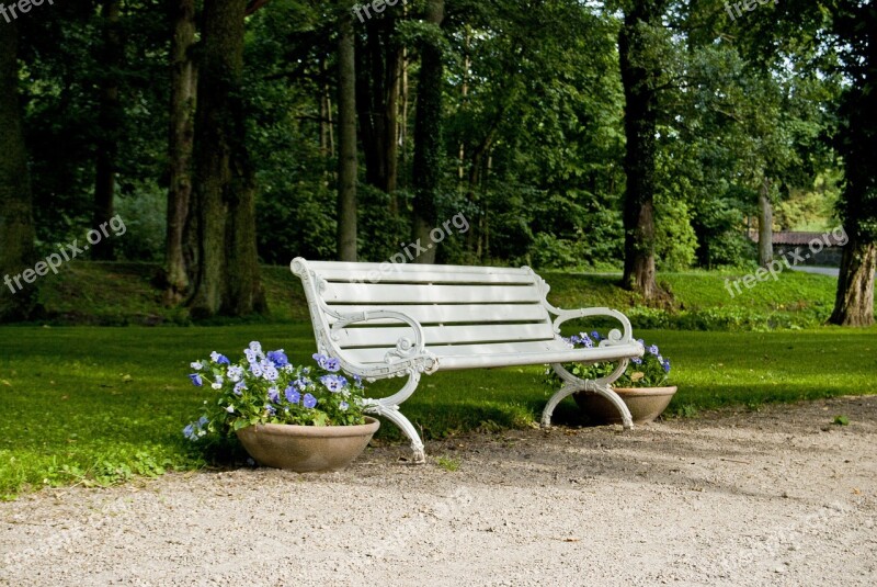 Park Bench Bench Tree Park White Bench