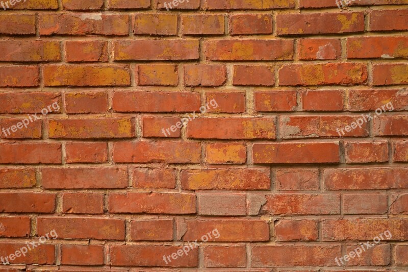 Brick Wall Red Bricks Construction Cement