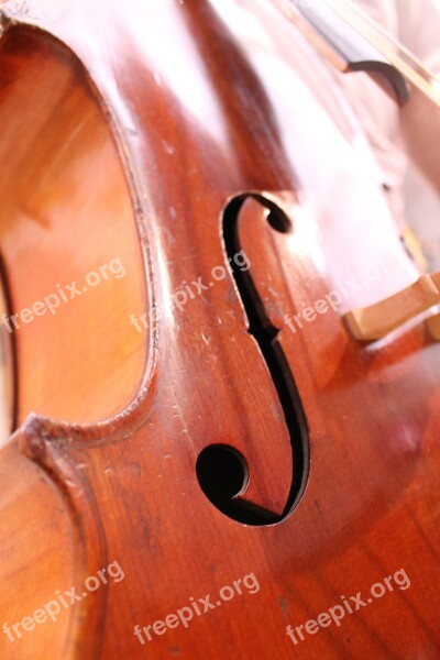 Cello Wood Brown Musical Instrument Music