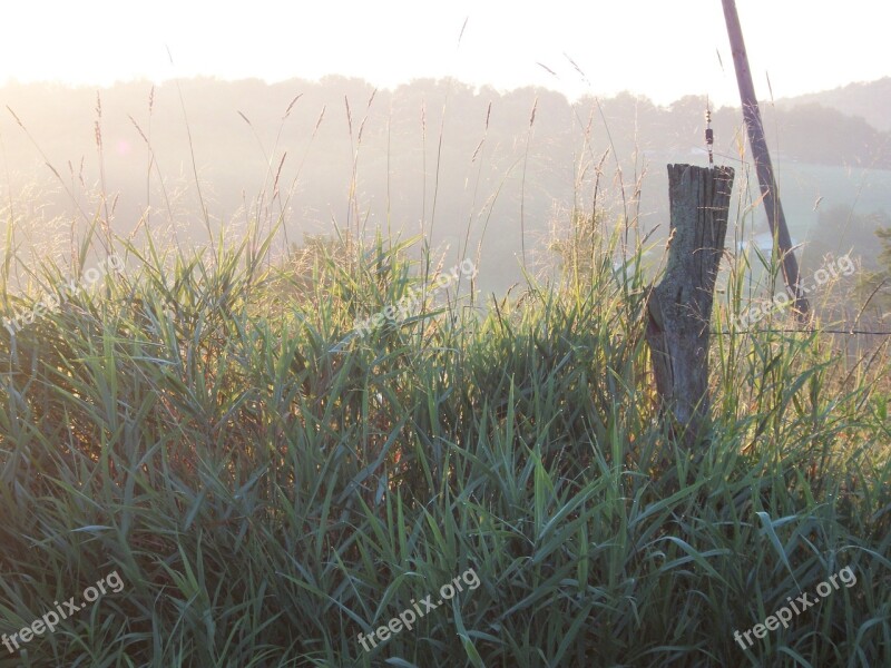 Farm Fencepost Rural Dawn Morning