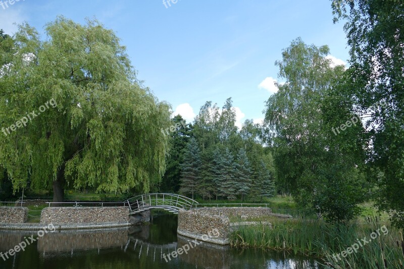 Landscape Pond Forests Trees Green