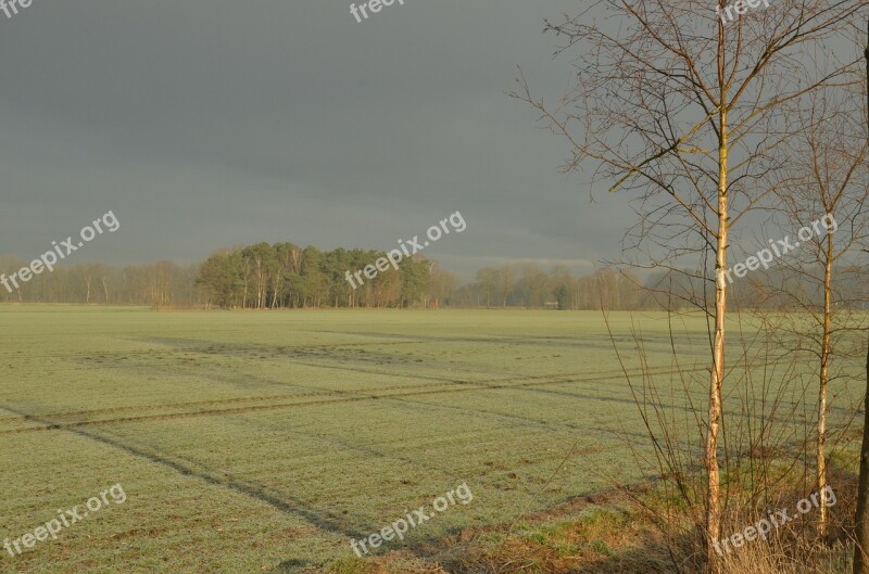 Fog Mist Morning Field Meadow