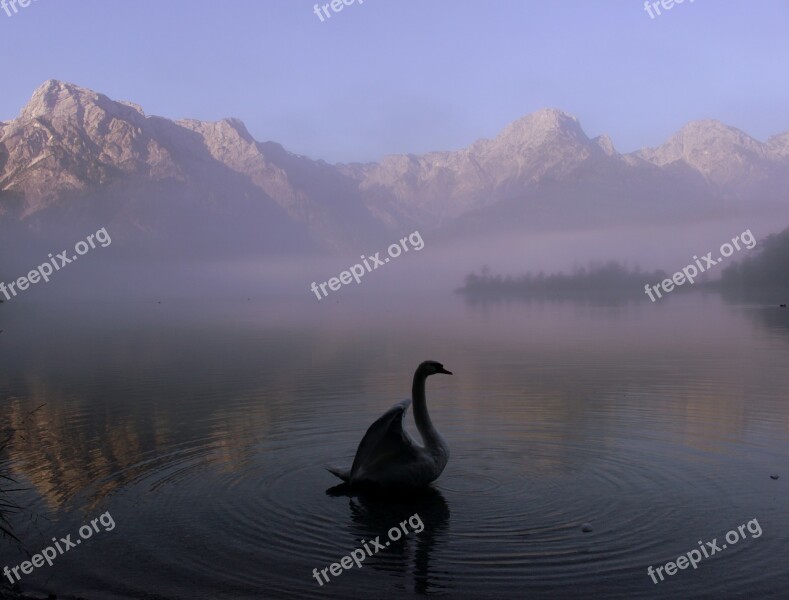 Mountains Lake Water Swan Landscape