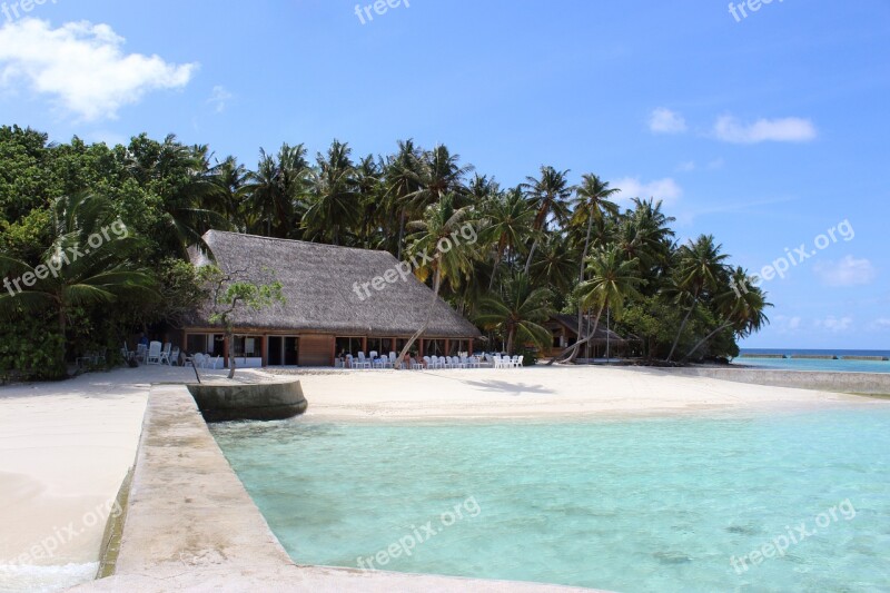 Maldives Sea Beach Palm Trees Vacations