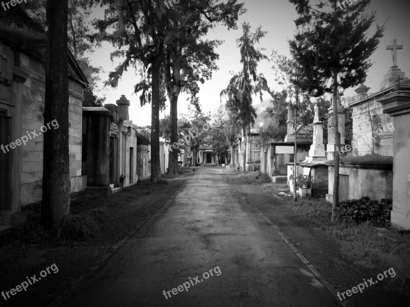 Cemetery Path Dark Graves Terror