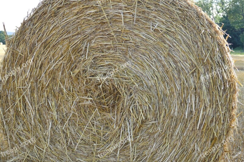 Close Up Hay Bales Arable Cereals Free Photos