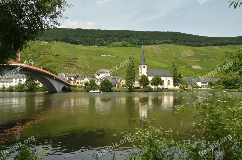 River Moselle Wine Piesport Germany