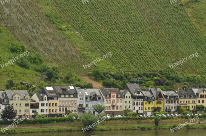 River Moselle Houses Grape Vineyard