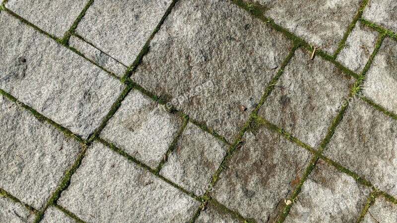 Floor Texture Moss Soil Stone