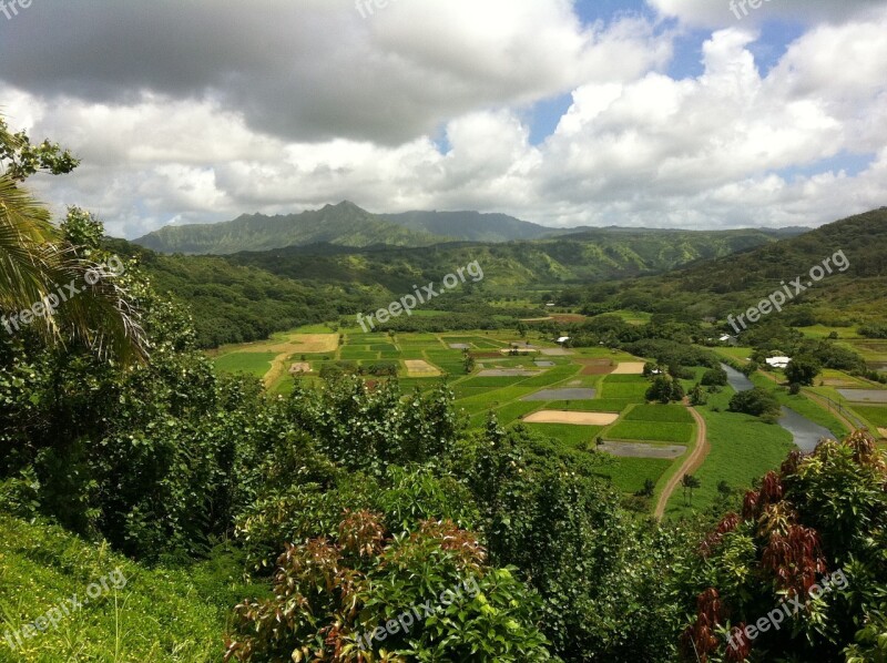 Hawaii Farms Landscape Agriculture Tropical