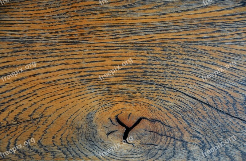 Oak Knothole Parquet Wooden Structure Grain