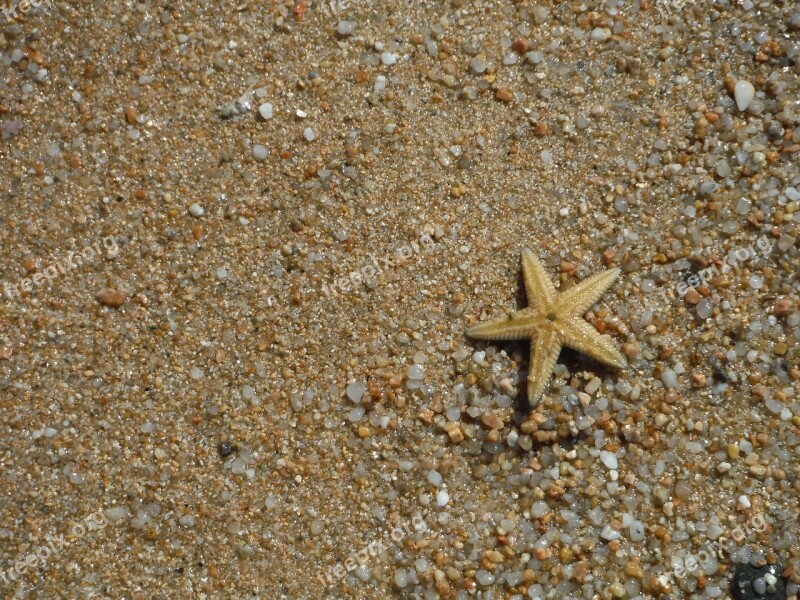 Summer Sea Sand Beach Sardinia