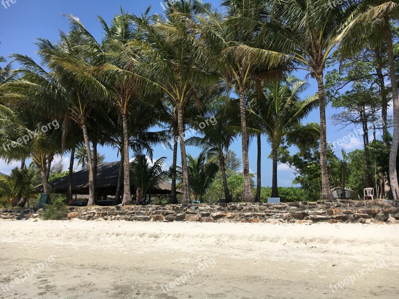 Asia Thailand Koh Chang Palm Trees Landscape