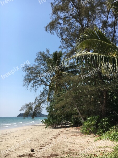 Asia Thailand Koh Chang Palm Trees Landscape