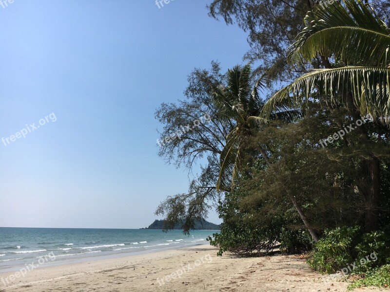 Asia Thailand Koh Chang Palm Trees Landscape