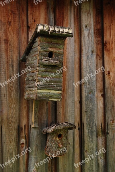 Birdhouse Bird Nest Wood Hatch