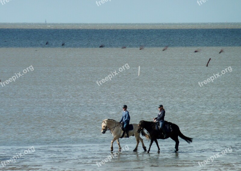 Watts Ride Rode In Watt Ebb Flood