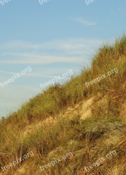 The Sand Dunes The Baltic Sea Sea Grass Summer