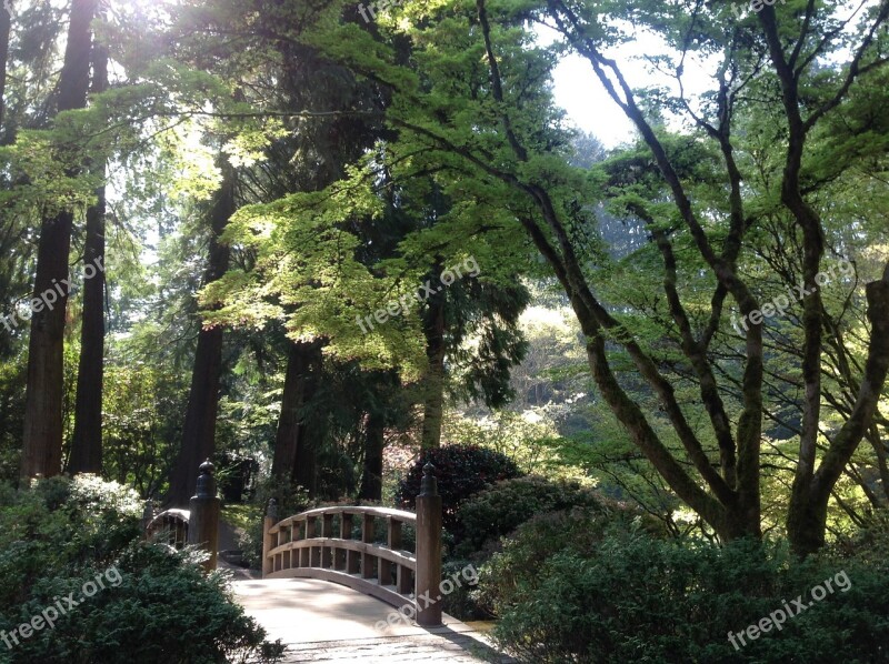 Japanese Garden Bridge Portland Wooden Green