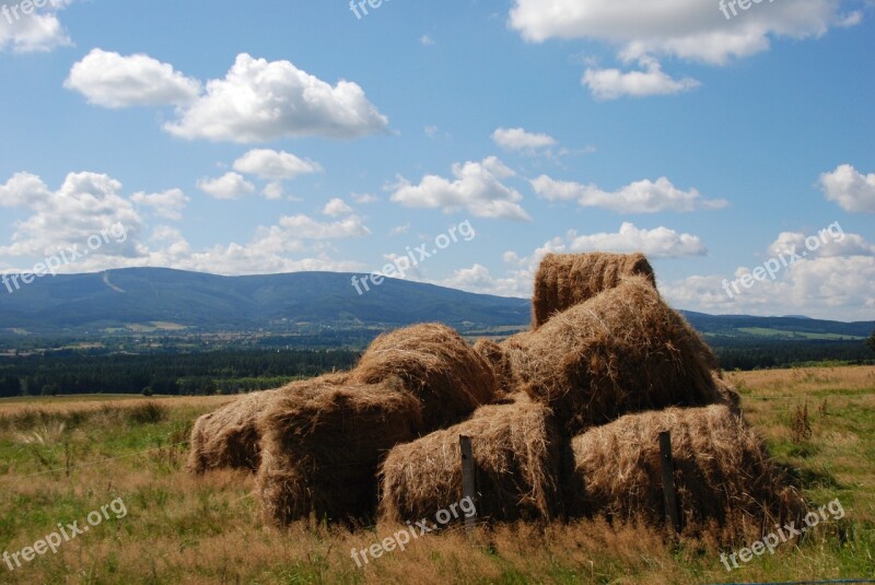 Hay Hay Bale Harvest Summer Agricultural