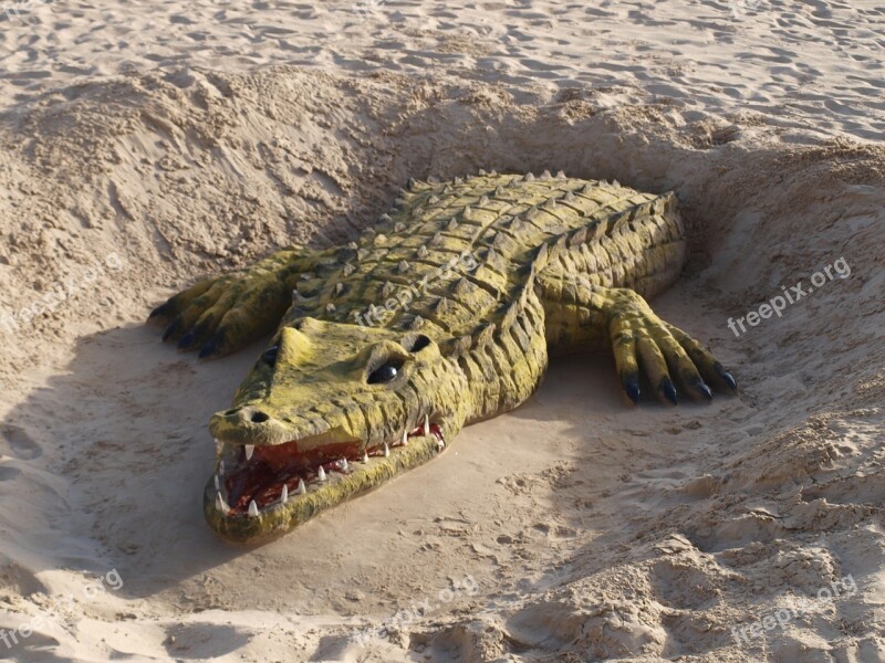 Sand Sculpture Beach Crocodile Sand Free Photos