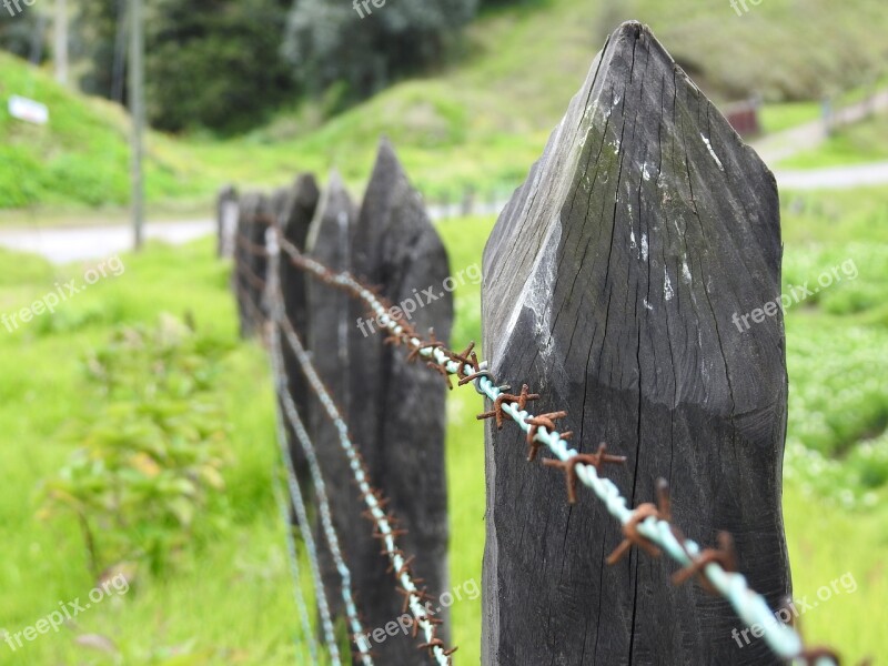 Carca Barbed Wire Field Fence Post Barbed Wire Fence