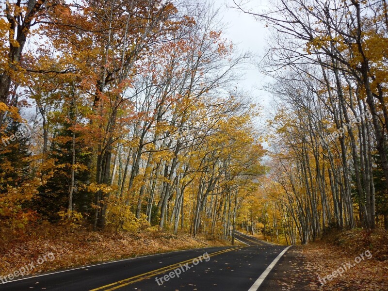 Road Winding Autumn Travel Scenic