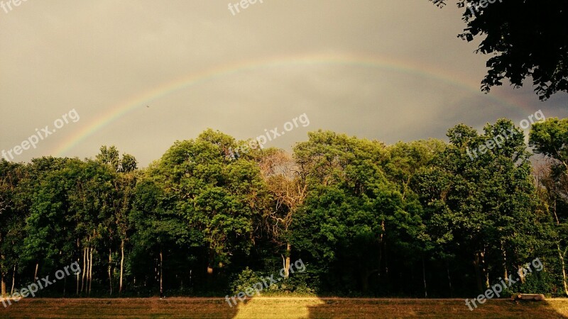 Rainbow Summer Nature Landscape Trees