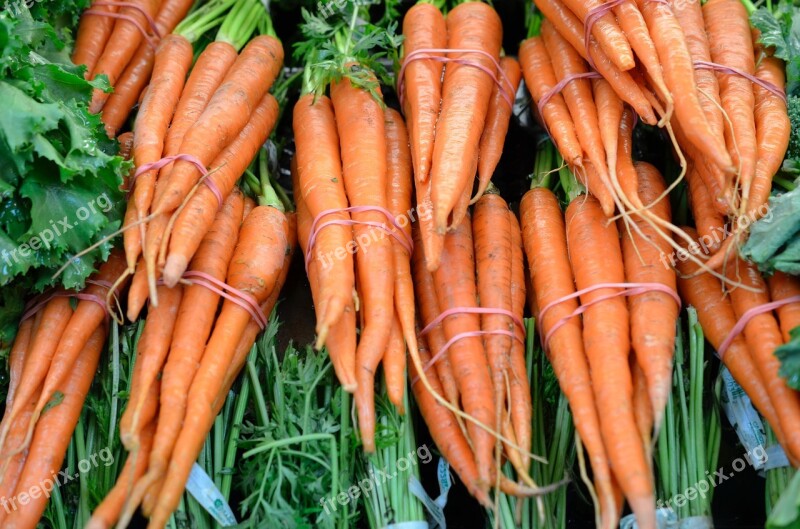 Carrots Orange Veg Vegetable Free Photos