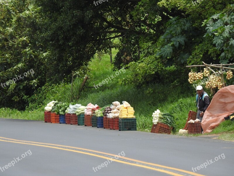 Farmer Vegetables Vegetable Field Nature