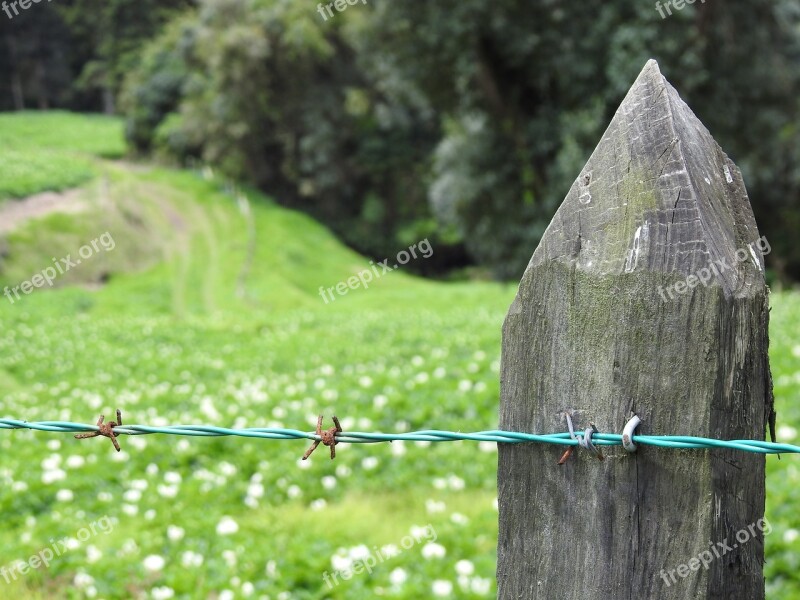 Close Field Wire Fence Post Barbed Wire