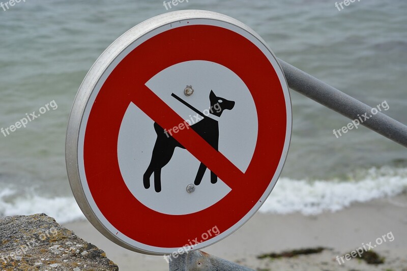 Panel Ban No Dogs Allowed Beach Good Citizenship