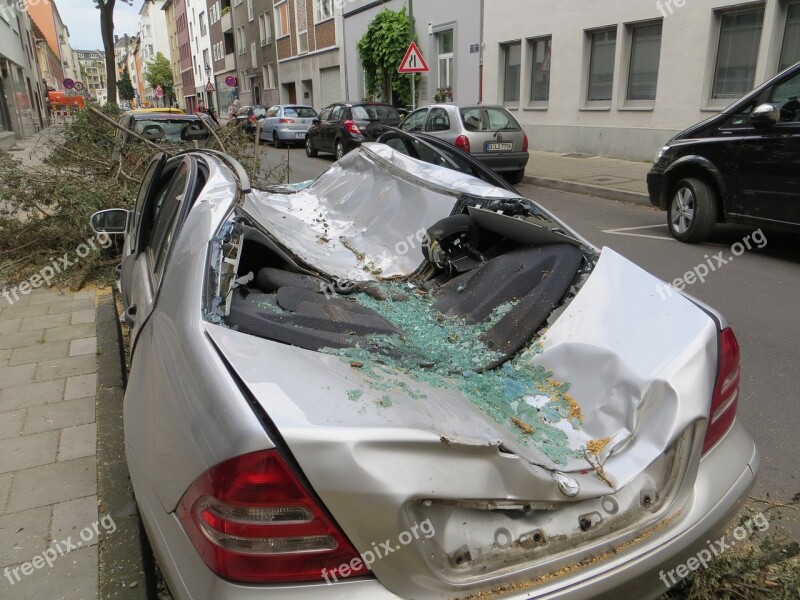 Storm Damage Fallen Tree Car Wreck Mercedes-benz Free Photos