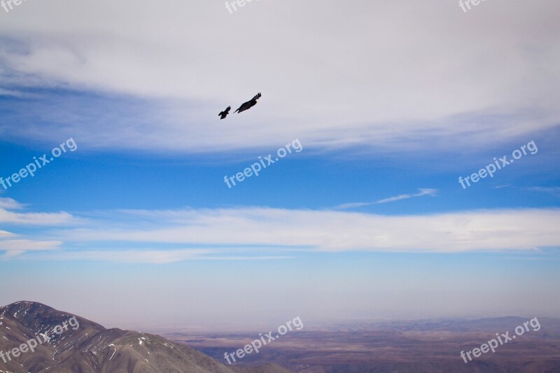 Bird Sky Clouds Mountains Predators