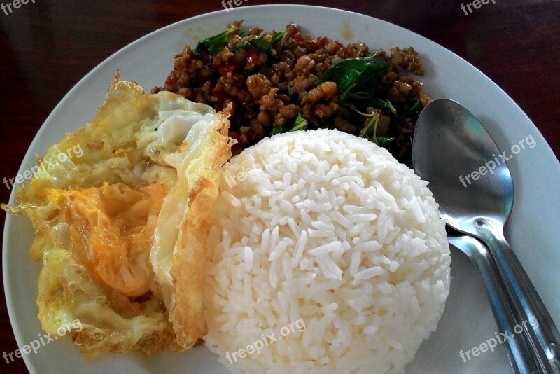 Thailand Food Rice Basil Pork Fast Food Free Photos