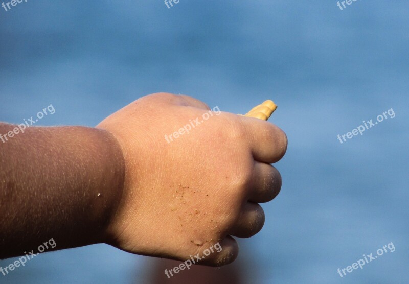 Hand Child Small Holding Biscuit