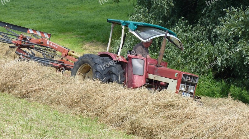 Hay Cattle Feed Summer Tractors Tractor