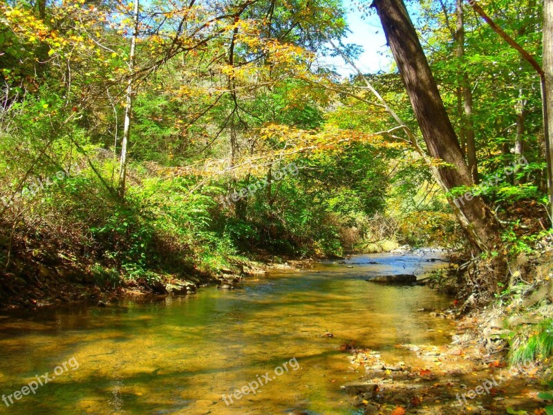 River Trees West Virginia Water Nature