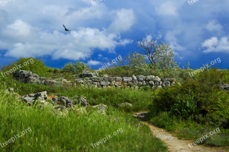 Sea Black Sea Crimea Clouds Summer