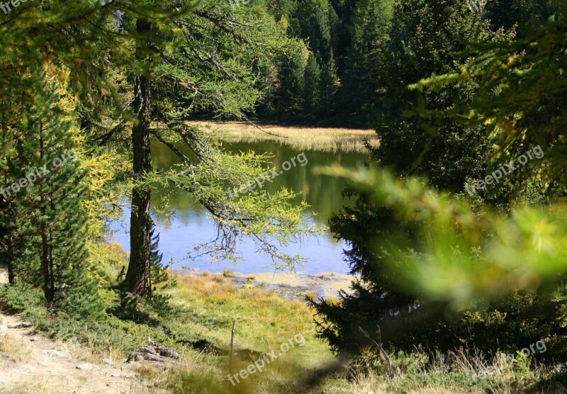 Hiking Pond Biotope Landscape Alpine