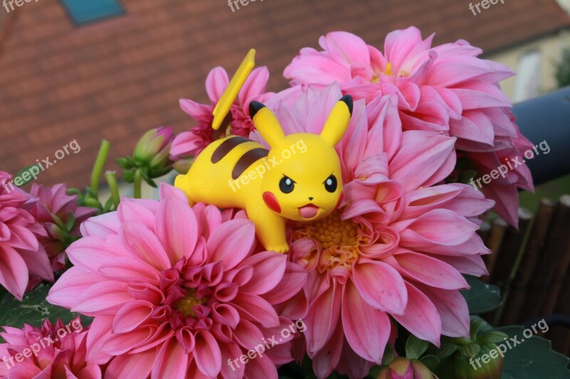 Pokemon Pikachu Derivatives Japan Free Photos