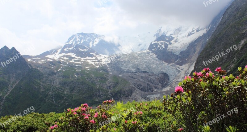 Mont Blanc Tour Mont Blanc Alps Migration Trekking