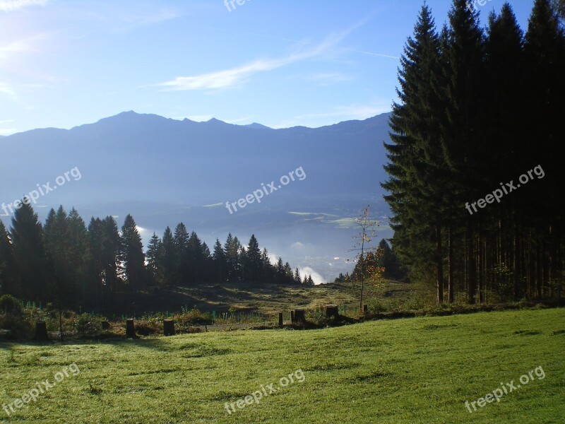 Mountains Tree Nature Alpine Austria