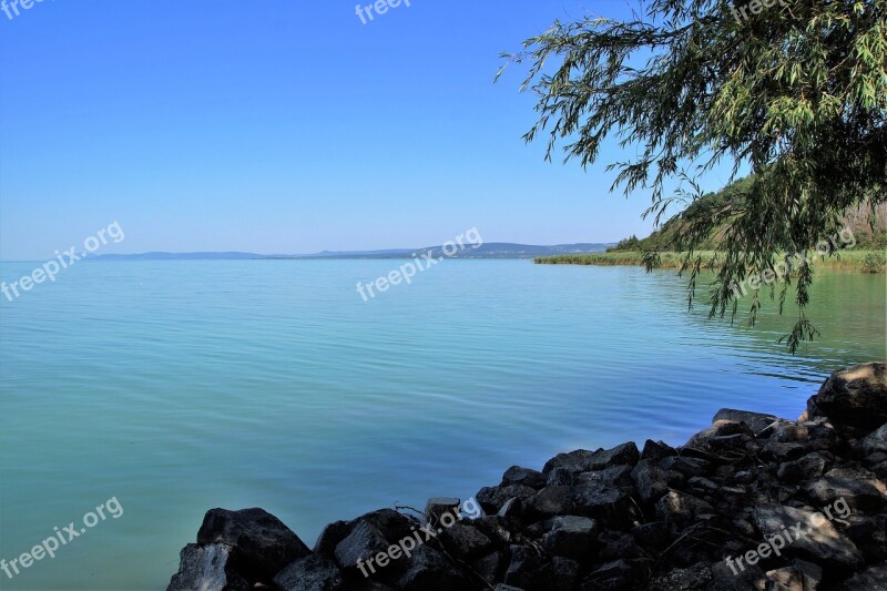 Lake Balaton Water Area Coast Free Photos