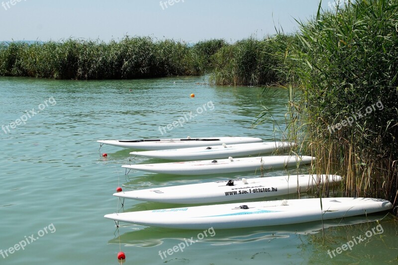 Lake Balaton Reed Surfboard Water Sport