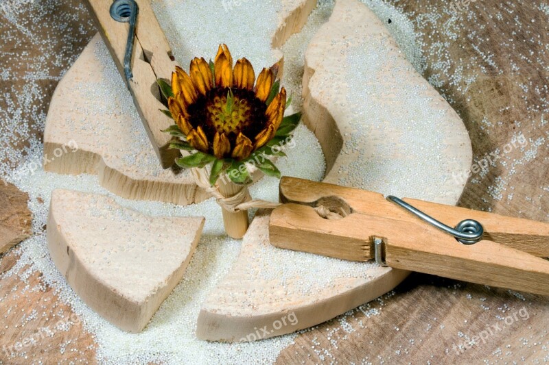 Wood Clothespins Flower Keep Together Wood Clamp